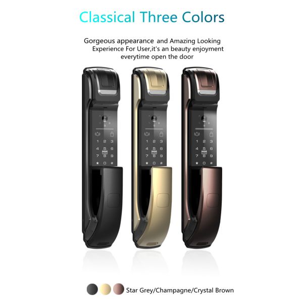 Fingerprint Push Pull Smart Door Lock