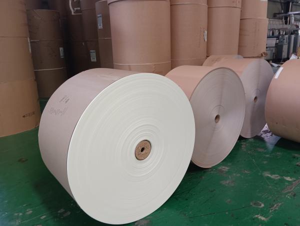 Virgin Wood Pulp PE Coated Paper Roll for Waterproof and Greaseproof Packaging