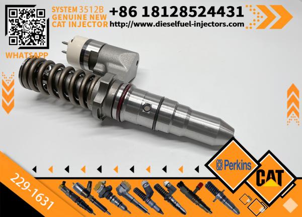 187-6549 229-5818 229-1631 166--0151 166--0153 Diesel Engine Fuel Injector for Cat C12 Diesel Engine
