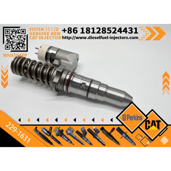 187-6549 229-5818 229-1631 166--0151 166--0153 Diesel Engine Fuel Injector for Cat C12 Diesel Engine