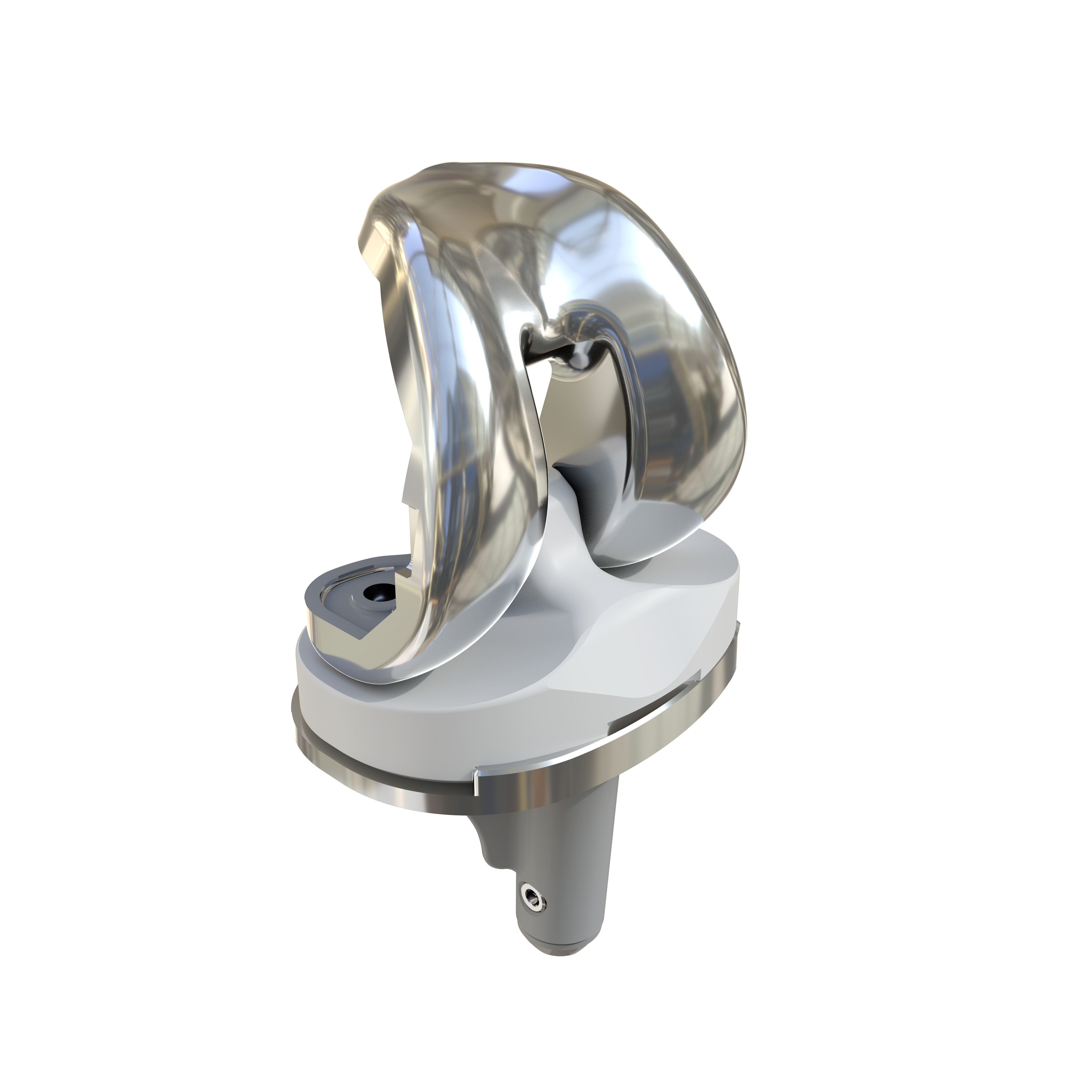 Unique Knee Prosthesis-Femoral System