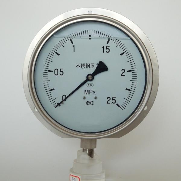 2.5Mpa 160mm All Stainless Steel Pressure Gauge Flange Panel Mount