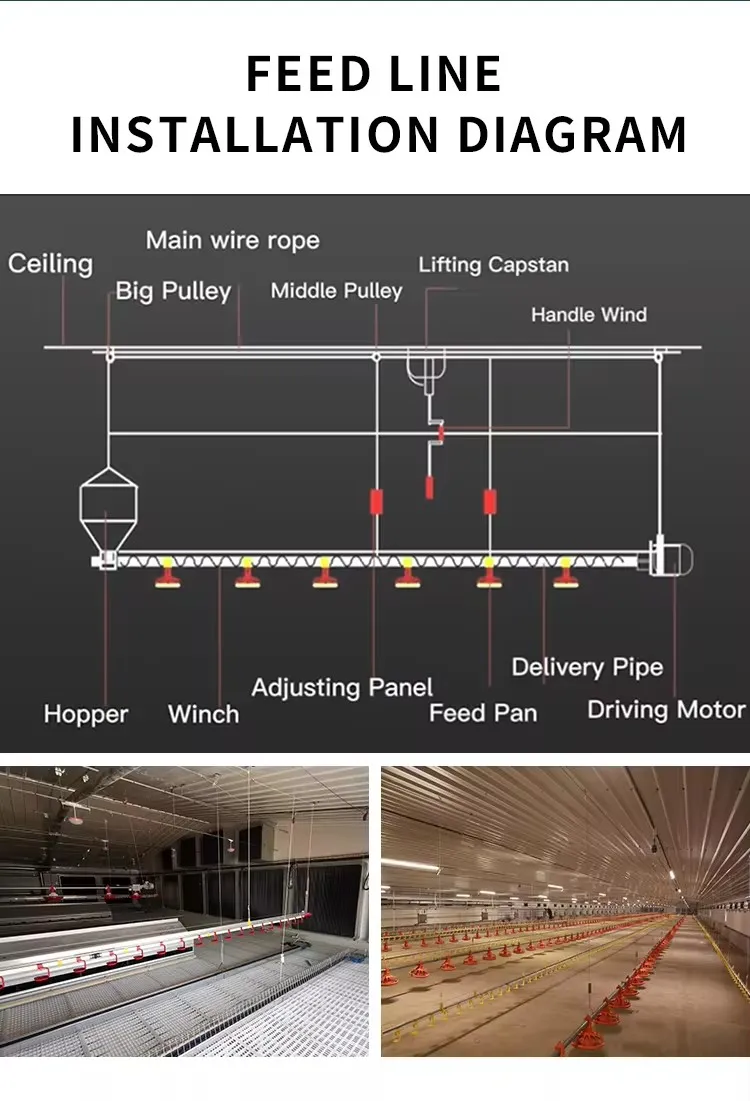 PP Material Automatic Poultry Feeding System Labor Saving For Chicken Care