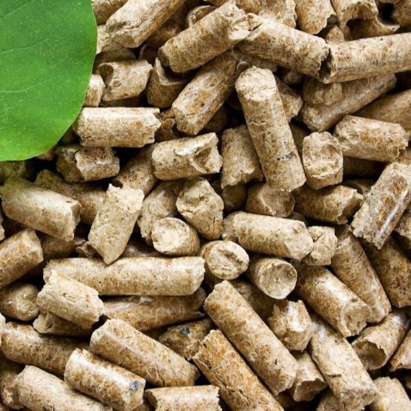 Stainless Steel 4Cr13 Wood Pellets Machine Peanut Shell Grass Pellet Maker 0.8t/ H