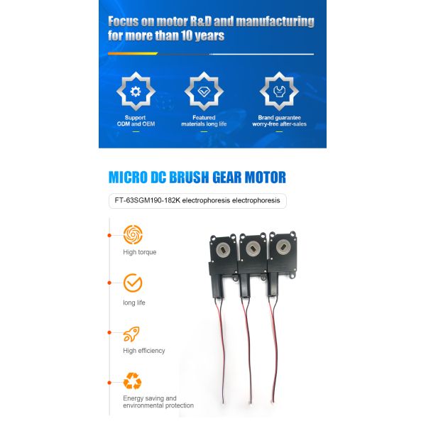Wholesale FT-63SGM190 Electrophoresis Micro Reducer Motor 6v 12v 24v 50rpm 2-200rpm 200 Rpm DC Worm Gear Motor CE ROHS