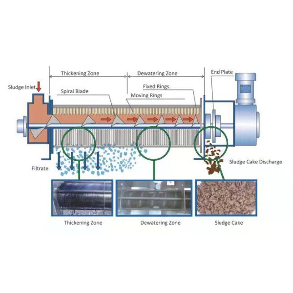 Customizable Capacity Screw Press Dehydrator for Oily Waste Water Treatment 100 kg
