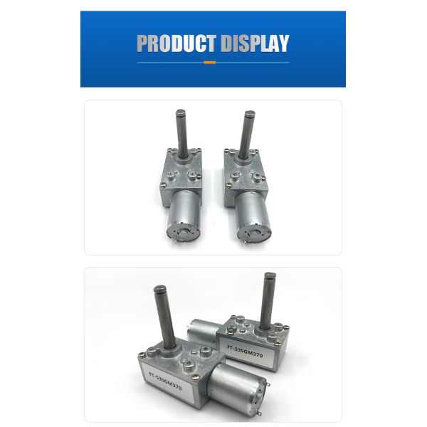 Customized Output Shaft FT-46SGM370  12V 24V  High Torque Worm Gear Motors