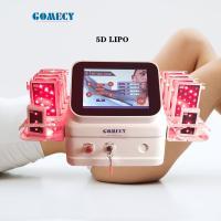 Laser vertical da remoção gorda profunda 5D Lipo com comprimentos de onda da lâmpada 5 de Mitsubishi da correia