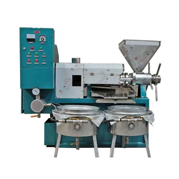 Industrial Grape Seed Sesame Peanut Nut Argan Sunflower Moringa Cold Screw Oil Extraction Extractor Press Machine