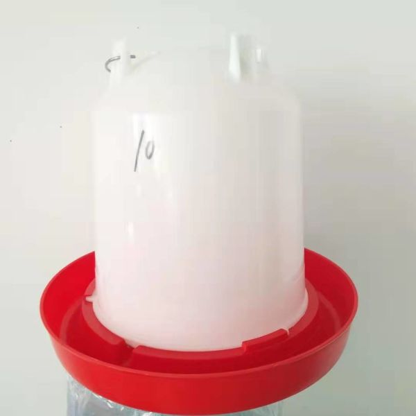 8L Pigeon Broiler Floor Baby Chick Water Feeder