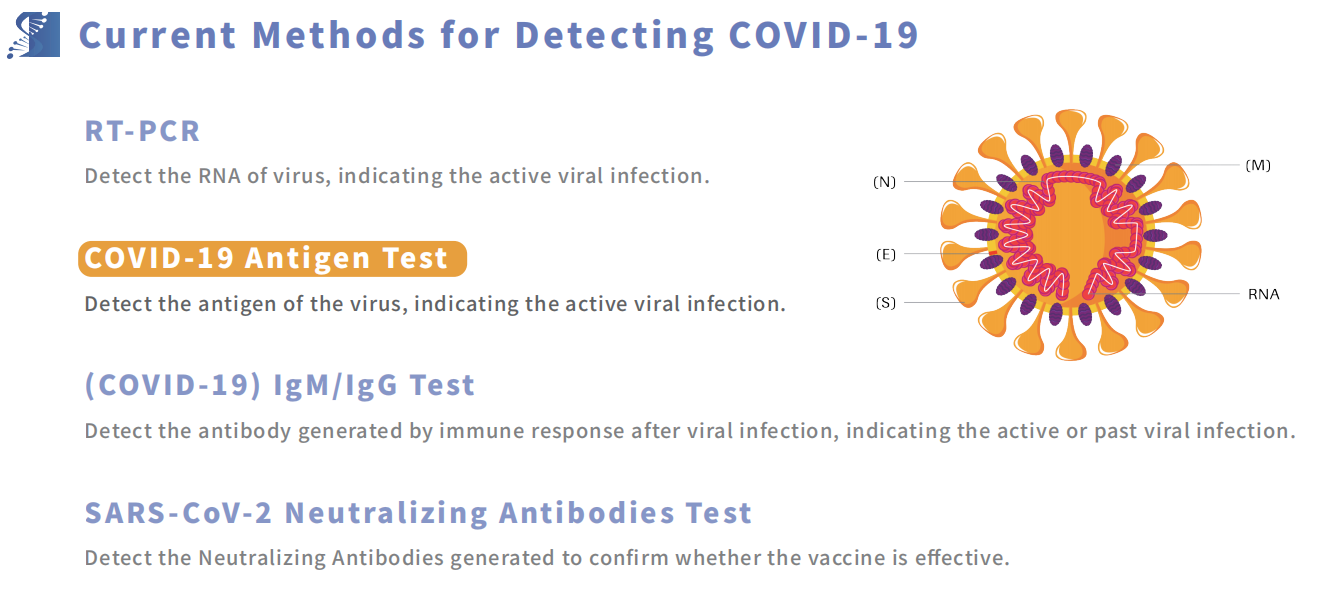Covid 19 Wellness Test Kit High Accuracy Fast Result 12 Minutes Antigen