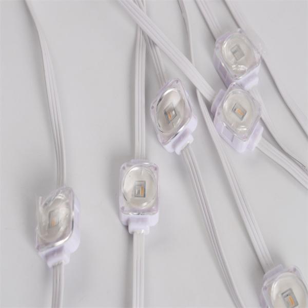 Lampes extérieures LED permanentes avec certification CE et 3 LED SMD5050 RGBW