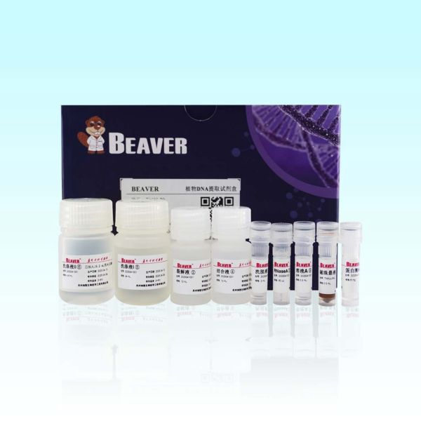 DNA Kit For Gene Breeding de la planta de 100 Rxns BeaverBeads