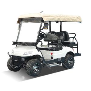 3.5-6 KW EV Golf Buggies Customization Color With Lithium Battery And Off-Road