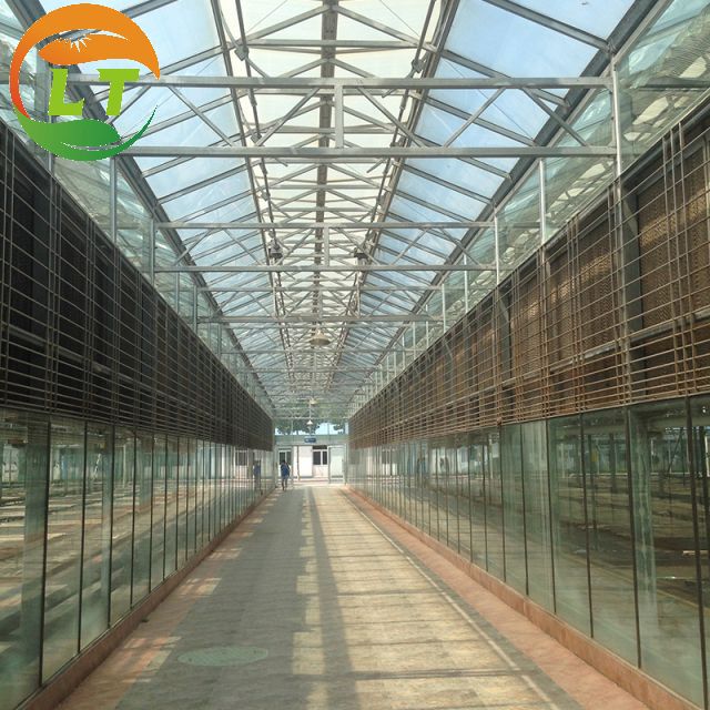 Многопролетные сельскохозяйственные теплицы с горячо оцинкованной сталью и умной системой