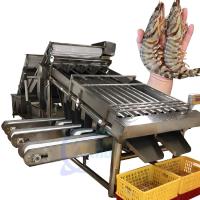 Equipamento da máquina de classificação de camarão Máquina de classificação de peixes de balam de sardinha de vários estágios