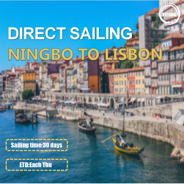 Ningbo To Lisbon Portugal Marine Cargo Transport Service MSK MSC Carrier