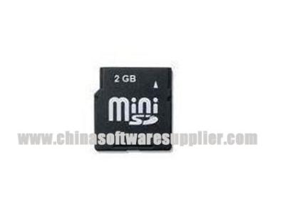 Cartões de memória Flash compactos para o MINI SD neutro