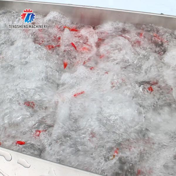 250KG The manufacturer provides a reversible air dryer for fruit ozone disinfection and fruit washing machine