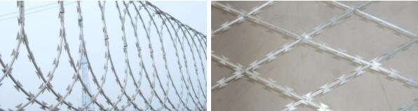 Горячий окунутый гальванизированный провод концертины диаманта ограждая диаметр катушки 500mm