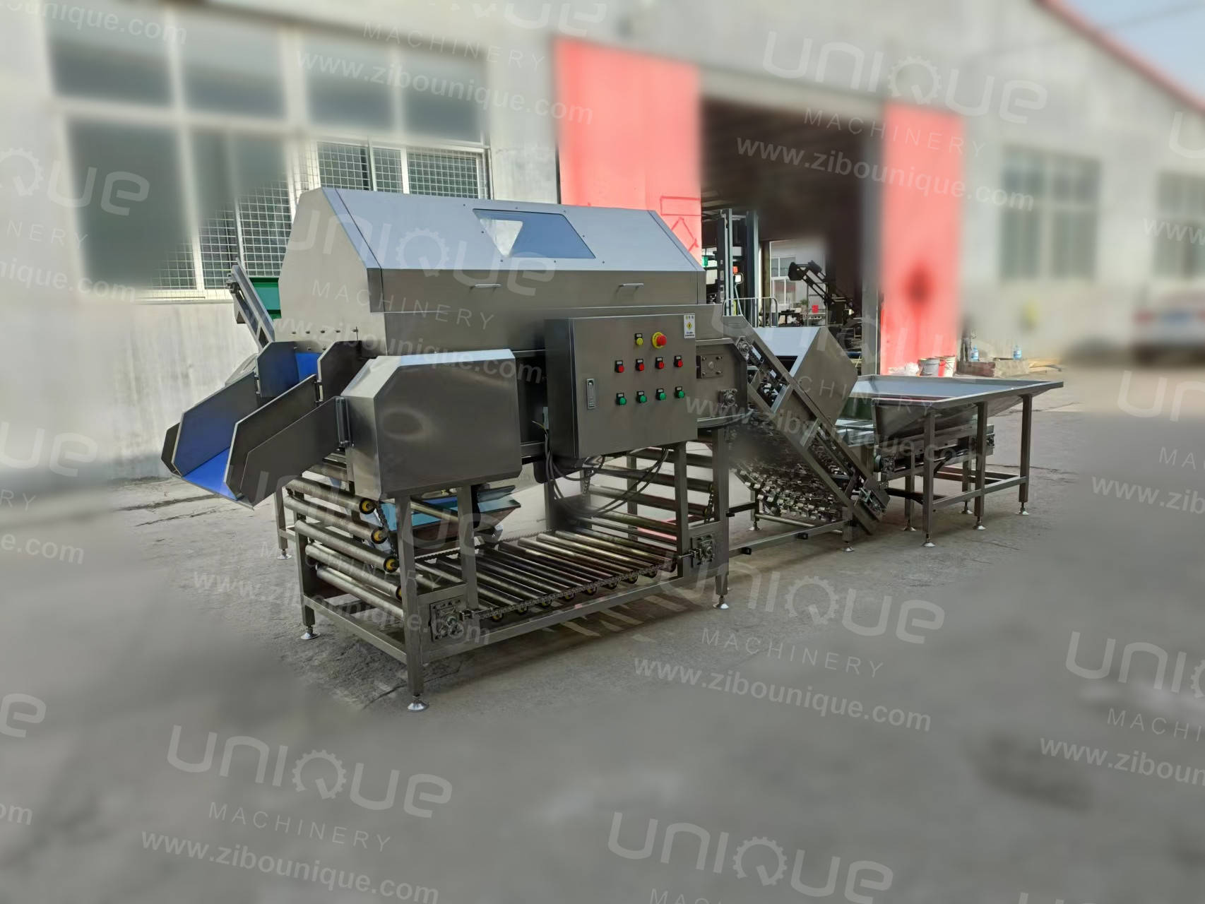 Машины для очистки лука Маленькие и большие Машины для очистки лука 4970*1510*1813 мм 3 кВт