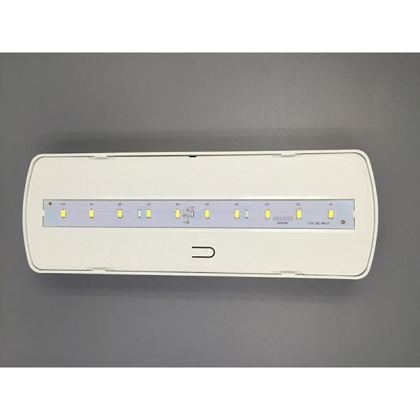 Emergency Rechargeable LED Light with Ni-Cd Battery and Fire Resistance ABS for 3 Hours Duration Time
