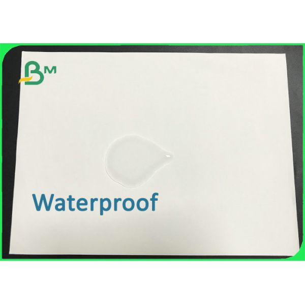 Экологическая дружелюбная бумага известняка 120gr 200gr для делать тетрадь