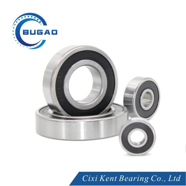 ZV1 ZV2 ZV3 Bearing Steel Bike/Bicycle Bearing 6301/6301 Zz Deep Groove Ball Bearing