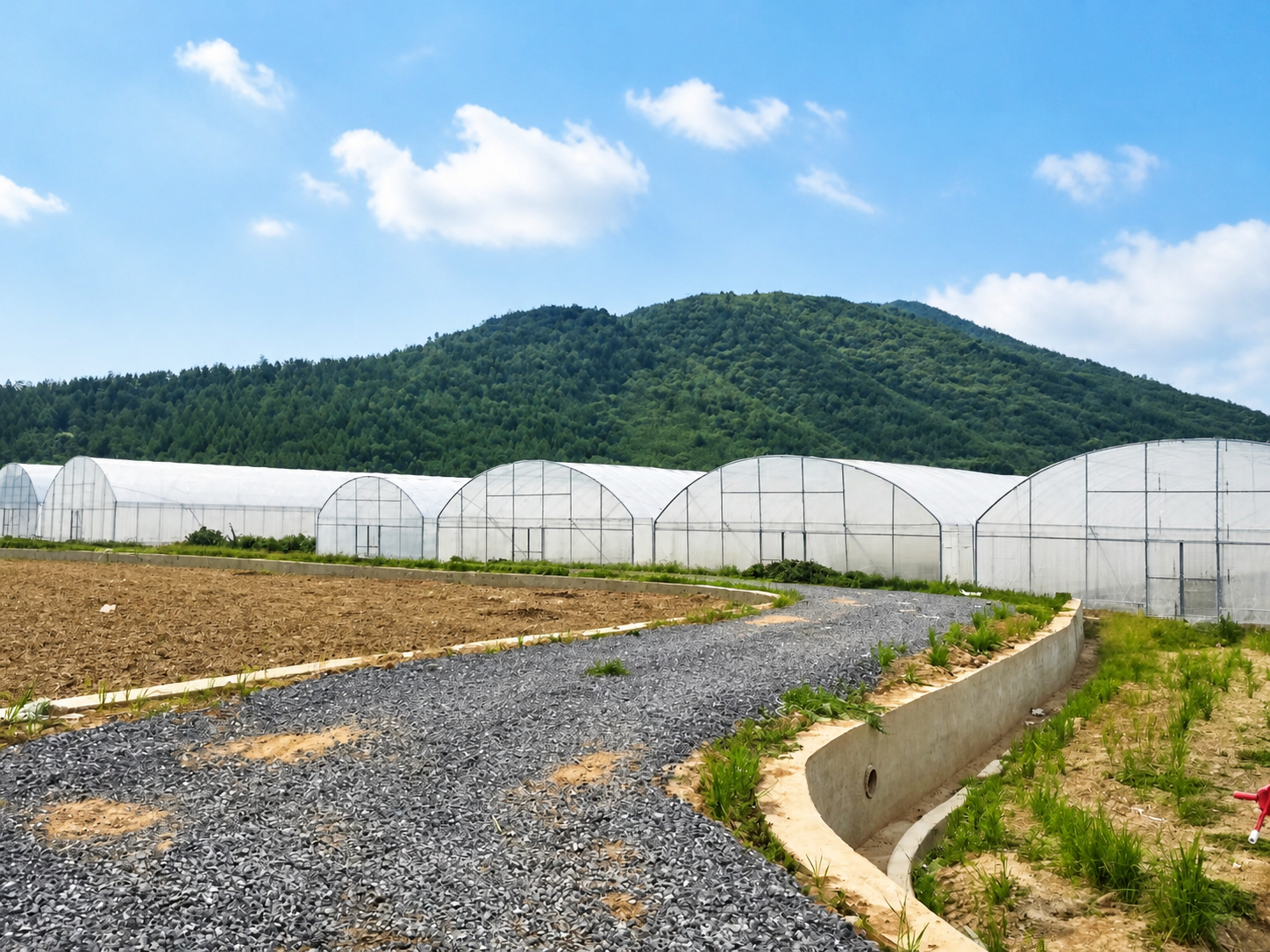 Single‑Span Round‑Arch Polyethylene Agricultural Tunnel Greenhouse, Specially Designed for Solar Light Utilization & Heat Preservation, Suitable for Protected Cultivation.