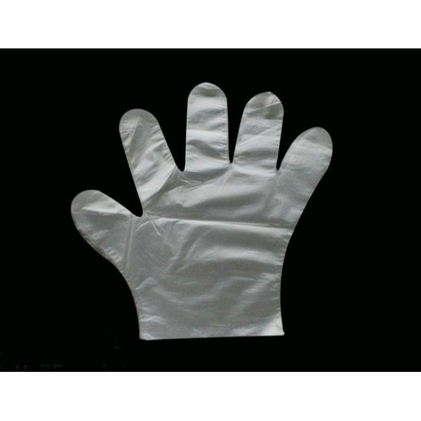 Disposable Transparent Thin Plastic Gloves / Waterproof Latex Free Protective Gloves