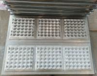 Modificado para requisitos particulares 30 agujeros reduzca a pulpa para moldear la celulosa moldeada de aluminio