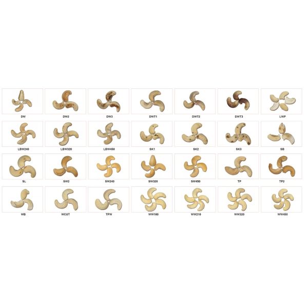 360° Precision Cashew Grading Machine Demeter AI Cashew Colour Sorting Machine