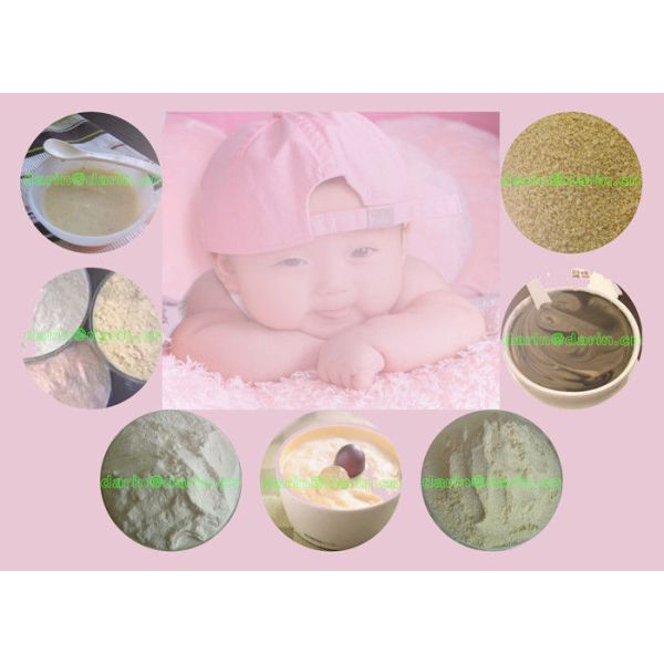 Máquina de aço inoxidável da extrusora do alimento do pó da nutrição com a extrusora de parafuso dois