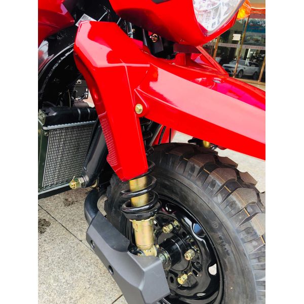 800W DAYANG DY-R1 RUITENG 250cc Tricycle cargo pour lourds CCC Trois roues moto