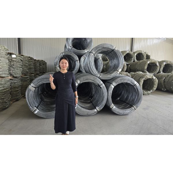 Highly Ductile Anti-Climbing Corrosion-Resistant Razor Barbed Wire Mesh for Security Fence