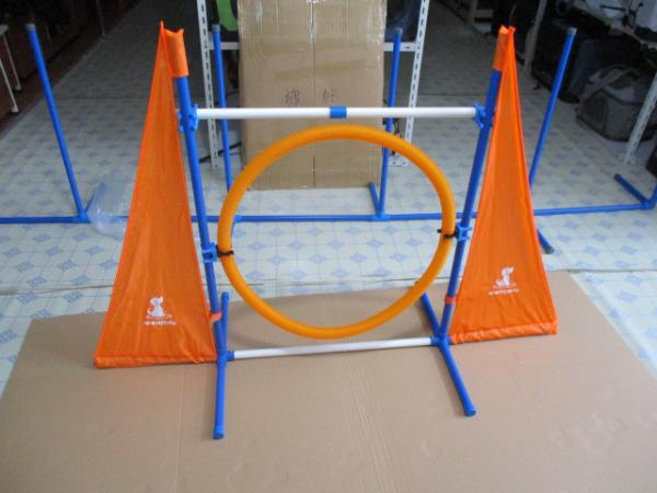 Dog Agility Set Quality Inspection Services Amazon hot sell product quality inspection