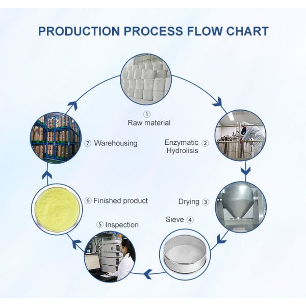 Высокая чистота 99% Кверцетин Дигидрат Порошок Sophora Japonica Экстракт для пищевых капсул