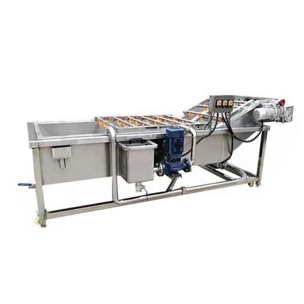2000kg/H Borracha de bolhas Agrícolas Máquina de lavar frutas e vegetais Hotéis