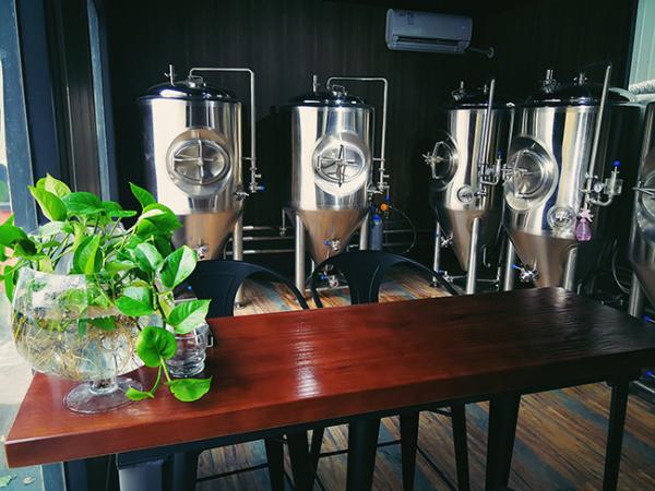 500 Litre Small Brewery Equipment , Brewpub Copper Beer Brewing Equipment