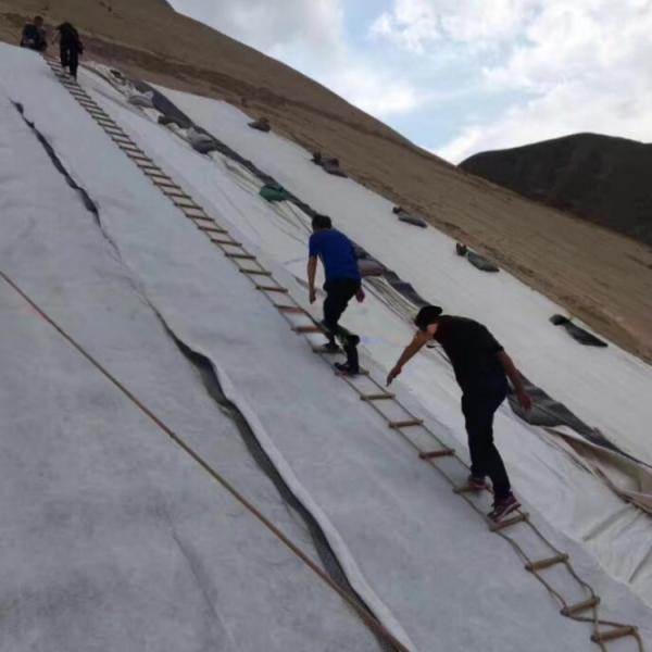 Length 50m Geocomposite Drainage Sheet 3d Composite Drainage Net 3d Geonet for T/T Payment