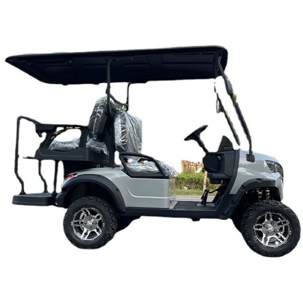 AC Controller Golf Trolley Off Road Buggy Custom Golf Cart with 100Ah Lead Acid Battery