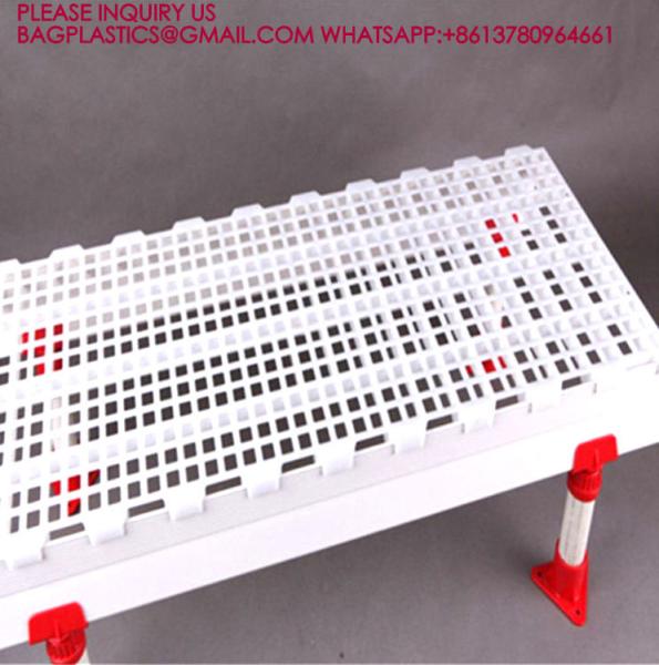 Poultry Husbandry Animal Plastic Flooring Poultry Poultry Plastic Slat Plastic Slats Flooring