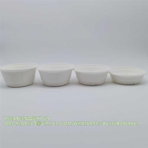 Eco Friendly Bowls 100% Compostable Disposable Biodegradable Sugarcane Bagasse Bowl