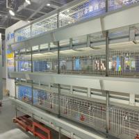 Caixa de aço Q235 tipo A projetada para frangos bebês
