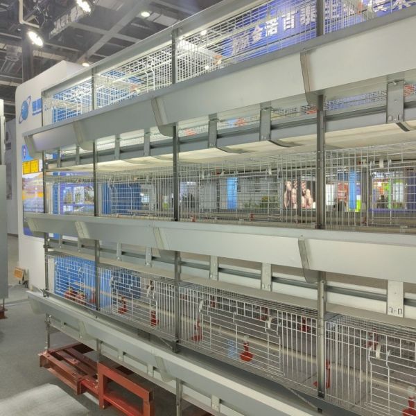 Q235 H Type Automatic Baby Chicks Cage For Layers Pullet Cage Day Old Chicks Cage