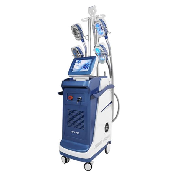 5 Size Handle Portable Cryolipolysis Machine For Salon Use