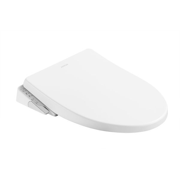 Arrow Remote Control Smart Toilet with Concealed Tank and 2-Year Warranty Modern One Piece Ceramic Toilet