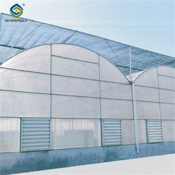 Serre résistante à la chaleur Morden Multi-Span pour l'agriculture commerciale