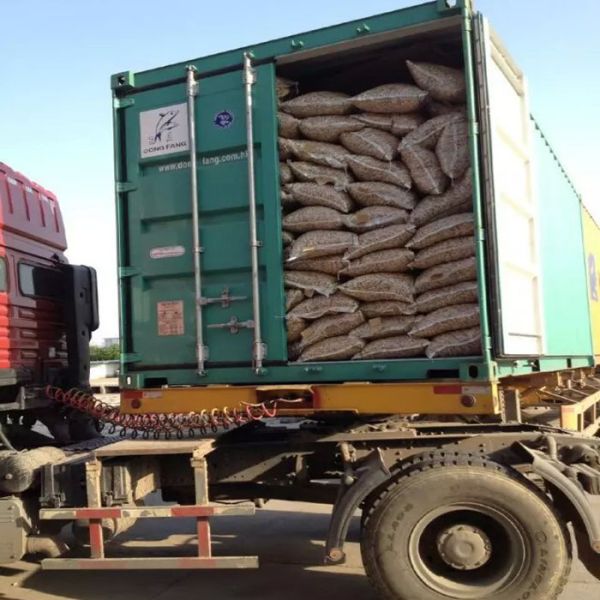 Delicious Blanched Peanuts / Red Skin Peanuts Fast Fresh Food For Eating / Oil Processing