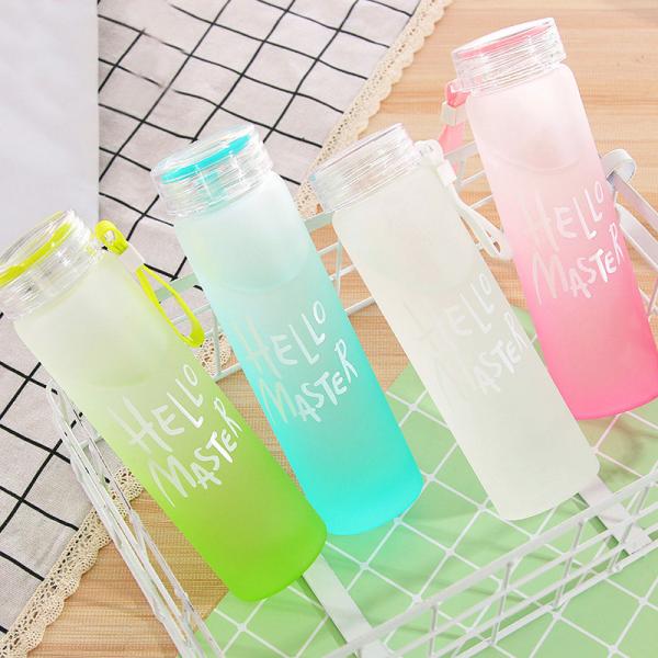 A garrafa geada colorida da bebida 500ml, peso leve redondo isolou recipientes de bebida